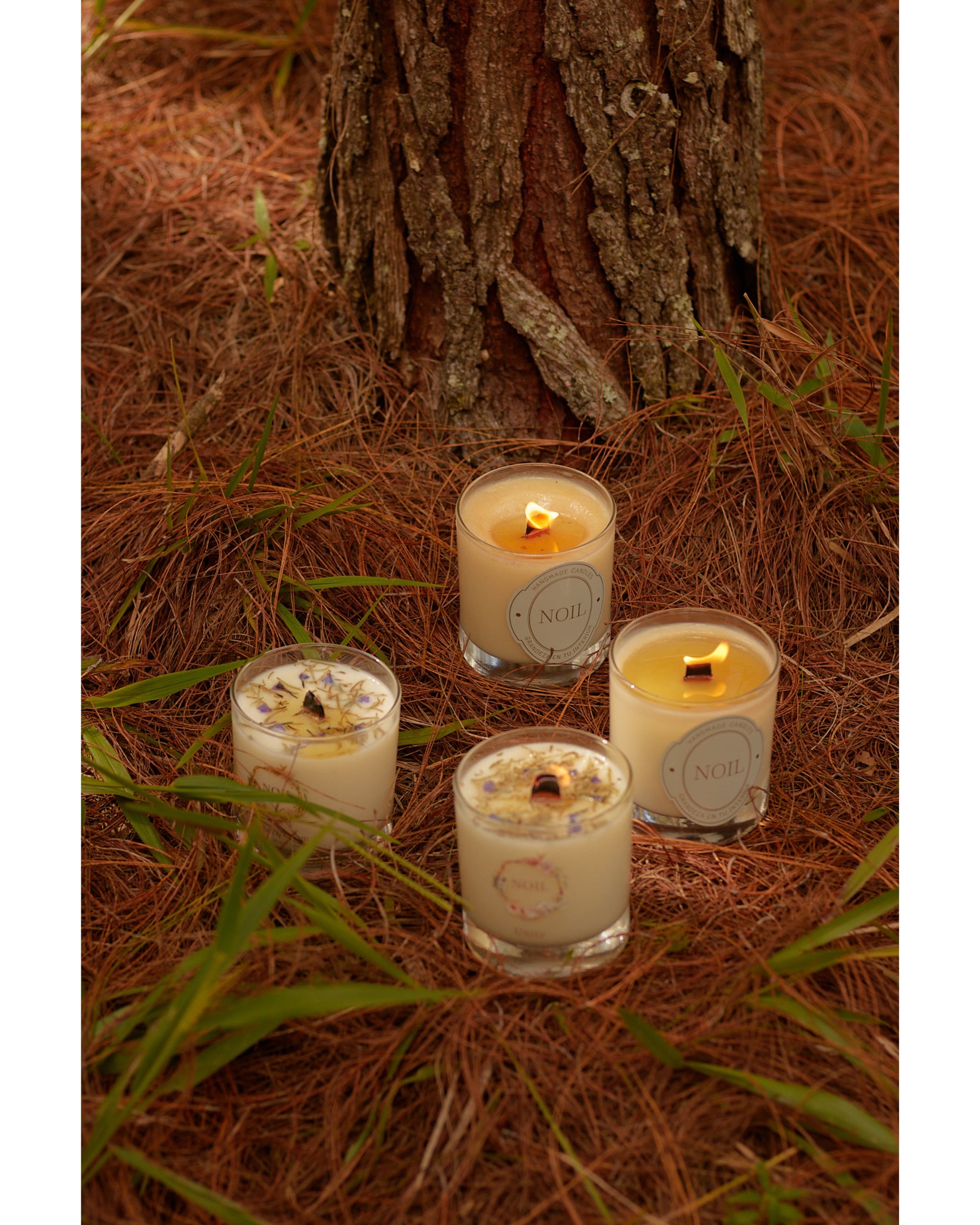 Tu Jardín, tu luz interior